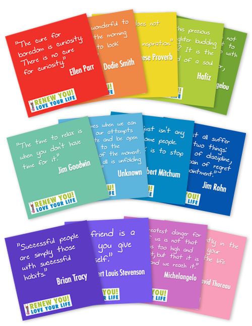 renew you love your life coaching program coaching tools from
