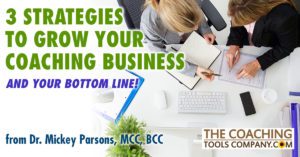 Two Coaches Working on Business Development