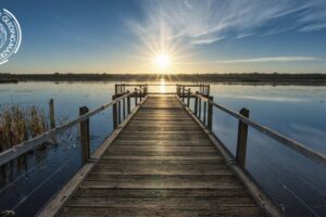 Open pathway with light ahead, symbolising freedom and direction.